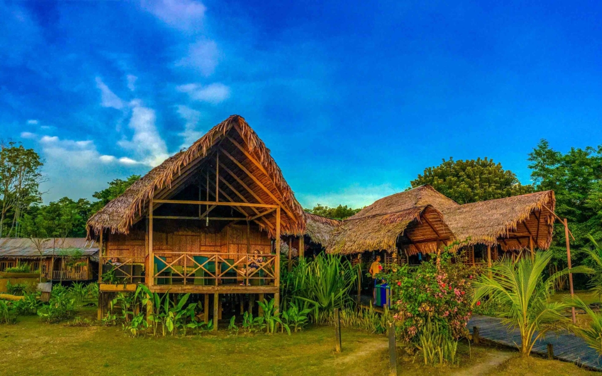Ficha Amazonas