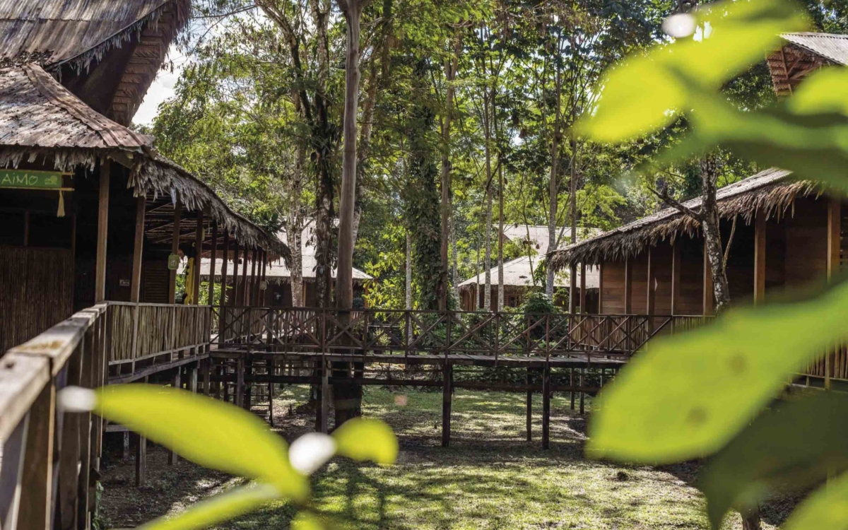 Ficha Amazonas