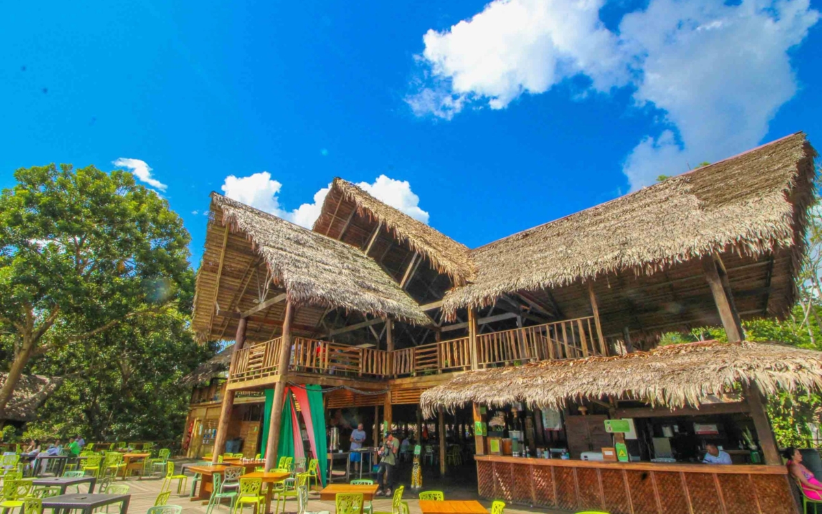 Ficha Amazonas
