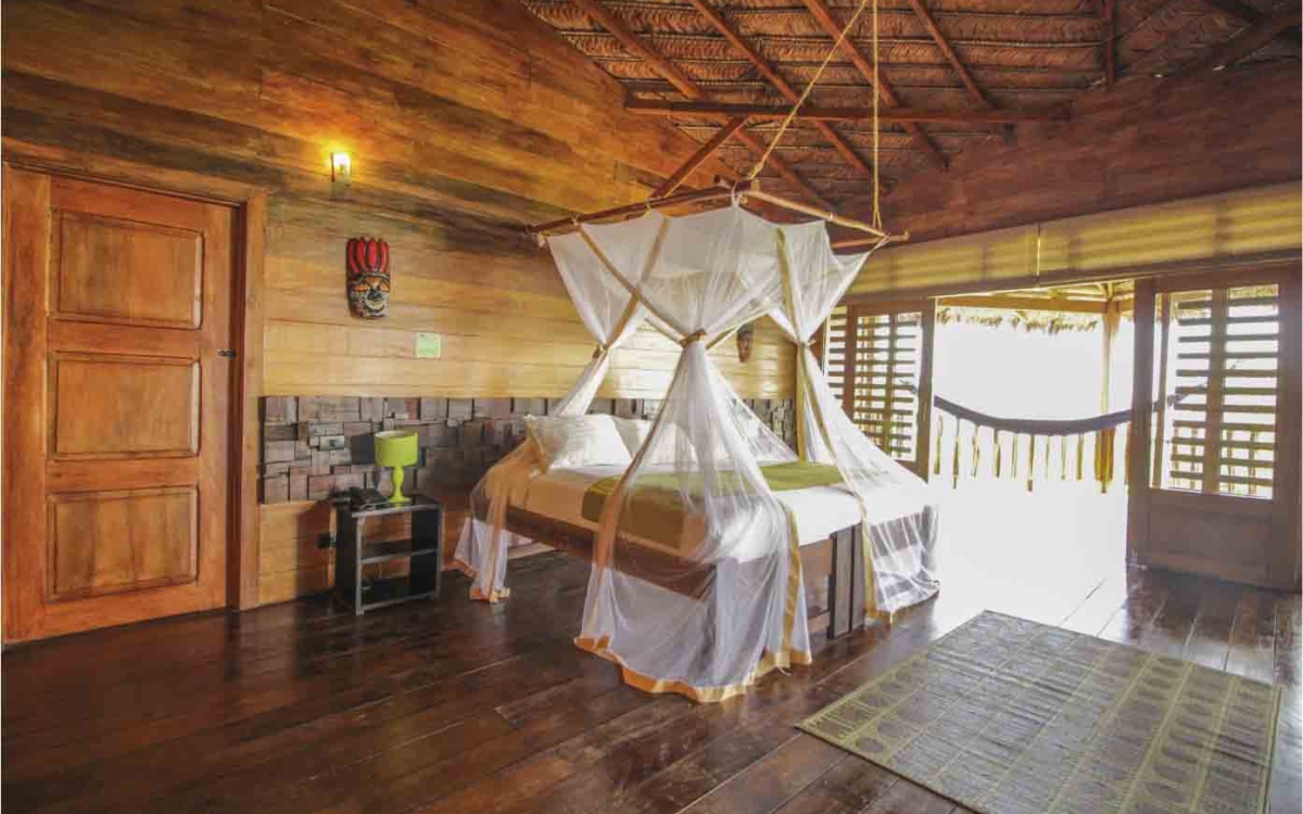 Ficha Amazonas